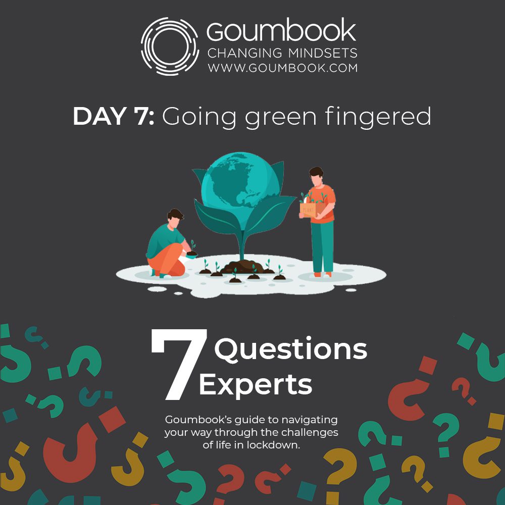 You are currently viewing 7 Questions for 7 Experts, #7 Going green fingered