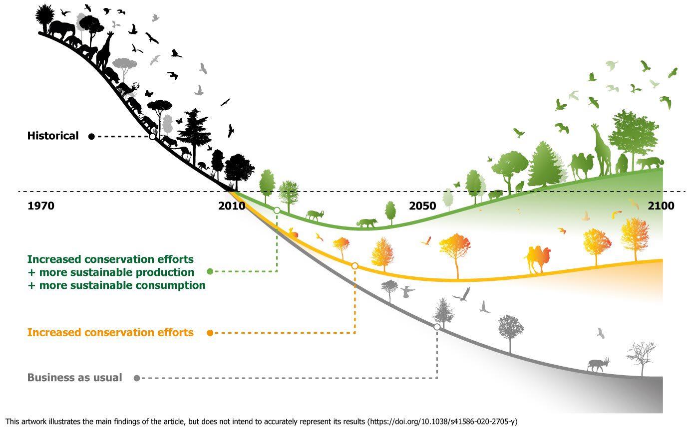 You are currently viewing Biodiversity: Ambitious Conservation And Restoration Efforts Required