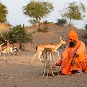 Meet the Ghaf Huggers: the Bishnoi community