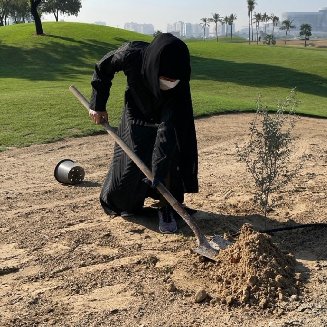 You are currently viewing DP World volunteers planted 150 Ghaf seeds and 30 trees