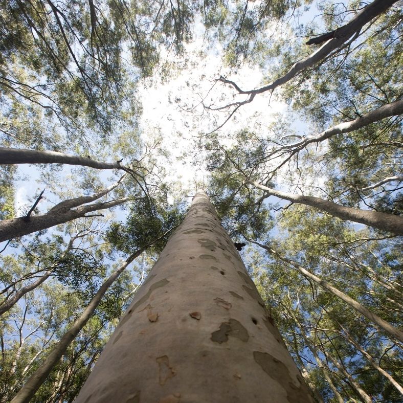 You are currently viewing How To Protect And Restore The Different Types Of Ecosystem