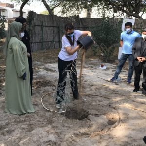 Goumbook Plants Ghaf Trees In Breathable Sand With JA The Resort