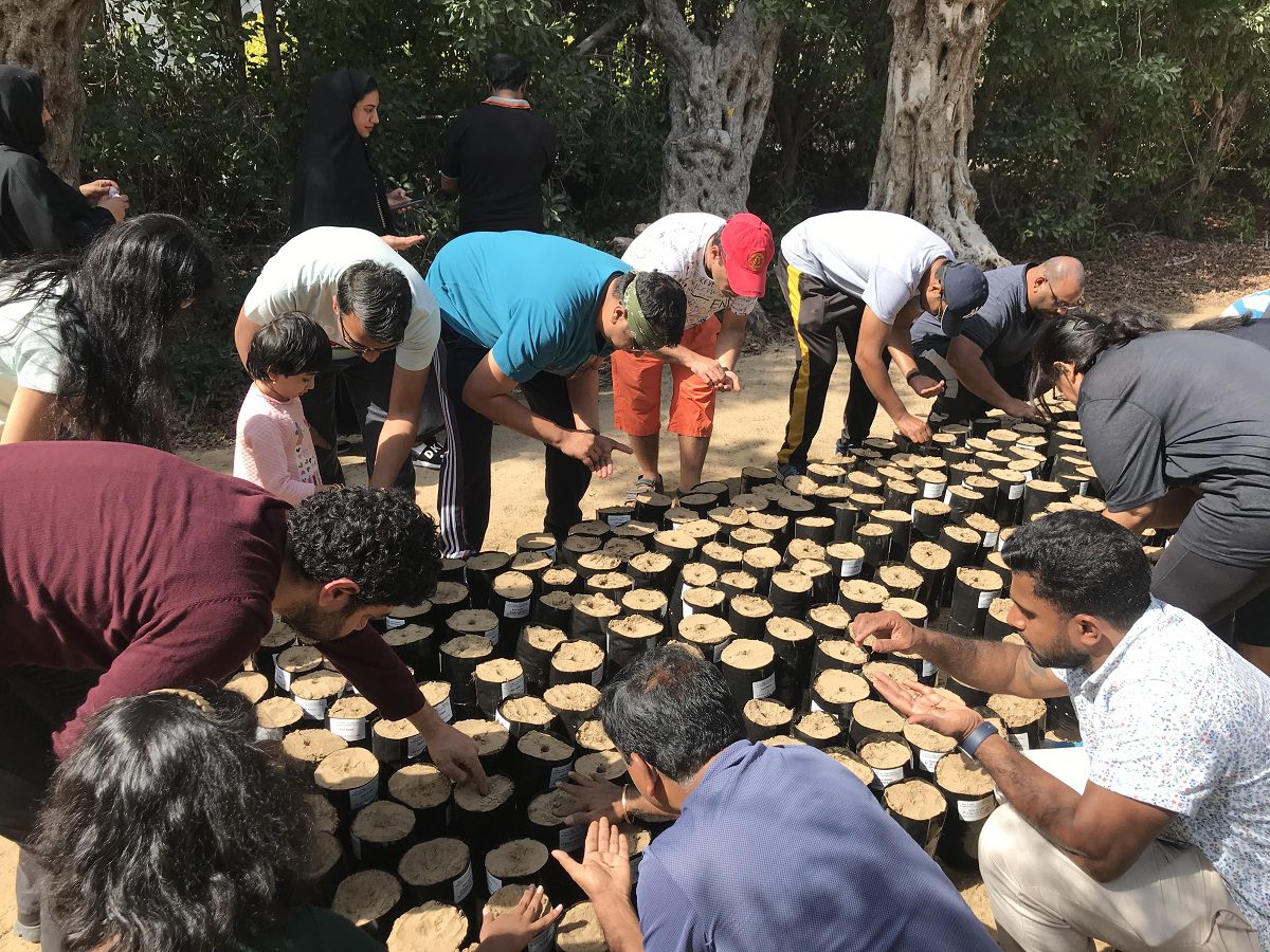 You are currently viewing RAK BANK volunteers planted 250 Ghaf seeds