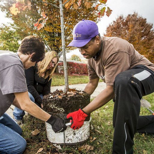 You are currently viewing Can Planting Trees Make a City More Equitable?