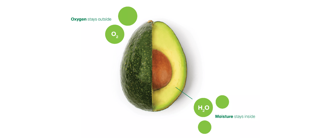 You are currently viewing Apeel Sciences Make Saving Food More Appealing with new $250M Round!